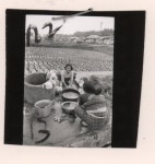 주한미군이 촬영한 대성동 주민의 생활상