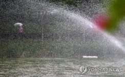 분수와 비로 흠뻑 젖는 호수공원