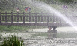 분수와 비로 흠뻑 젖는 호수공원