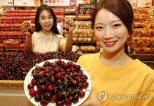 롯데마트, 가성비 높은 터키산 체리 판매