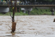 장맛비로 불어난 전주천