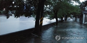 물 폭탄 맞은 대전 대동천 주변