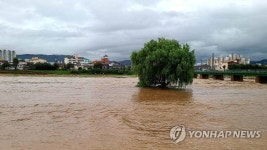물바다로 변한 대전천