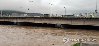 대전 만년교 상판까지 차오른 빗물