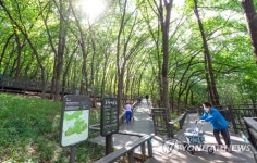 무장애숲길 산책하는 주민들