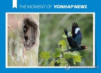 [모멘트] 엄마 빨리 와