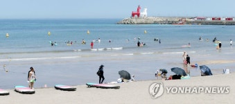 8월 제주 바다