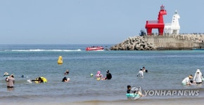 8월 제주 바다