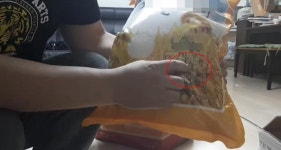 집단 식중독 안산 유치원…이번엔 쌀벌레 급식꾸러미 논란