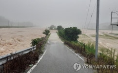 충주 영덕천 제방 붕괴…논·도로 침수