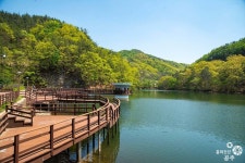실내 벗어난 자연으로…충남, 여름휴가지 65곳 추천