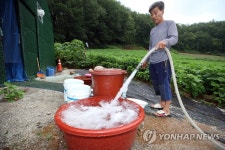 단양 지역 비상 급수