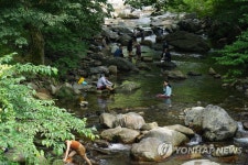 피서는 계곡에서