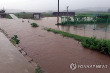 범람한 하천