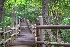 [걷고 싶은 길] 칠갑산 정상에 오르는 편안한 산장로