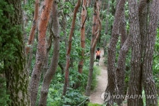칠갑산 산장로