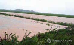 집중호우로 침수된 서산 농경지