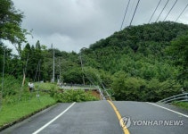 무너진 장수 국도 13호선