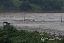 임진강물에 잠긴 논