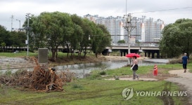 일상으로 돌아가는 광주천