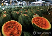 경매 나온 수박
