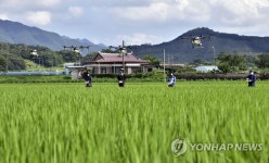 드론 이용해 병해충 항공 방제해요