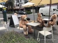 멕시코 카페 곰과 함께 거리 두기 지켜요
