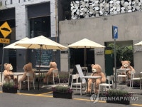 멕시코 카페 곰과 함께 거리 두기 지켜요