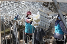 광복절 연휴, 나들이 대신 수해복구