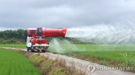 파주시, 벼 침수지역 736㏊ 병해충 긴급방제