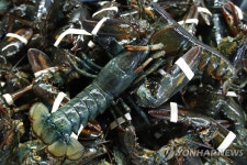 미국·EU, 미국산 랍스터 등 상호 관세 인하 합의