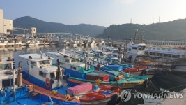 제9호 태풍 마이삭 북상에 피항한 거문도 어선