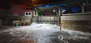 만조시각 진해 용원에 바닷물 넘쳐