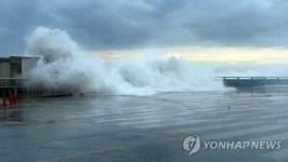 삼척 정라진항 주변도로에 몰아치는 파도