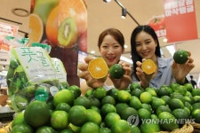 제주의 싱그러움이 가득한 제주 풋귤