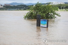 물에 잠긴 금호강 둔치