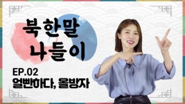 [연통TV] 북한말 얼빤하다 올방자 뜻을 아시나요?