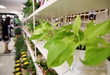 코로나19 장기화에 홈가드닝 제품 인기