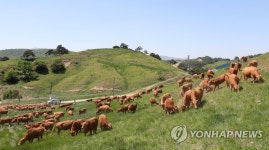 평창군, 대관령 일대 10만여㎡에 숙박 등 관광휴양시설