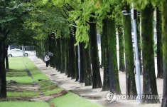 비만 내리는 광주