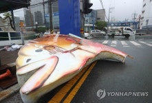 태풍에 파손된 어시장 상징물