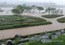 복구 막 시작했는데…삼척 장미공원