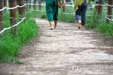 삼문송림 속 걷기 좋은 길