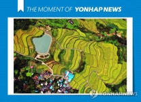 [모멘트] 가을빛으로 물드네