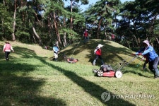 추석 앞두고 고분 벌초