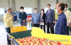 영천루비에스 작목반 방문한 허태웅 농촌진흥청장