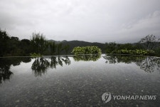 워터가든의 고즈넉한 풍경