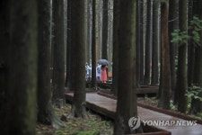 가을비와 함께 사려니숲길 산책