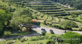 한산한 공원묘원