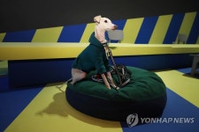 개를 위한 미술관